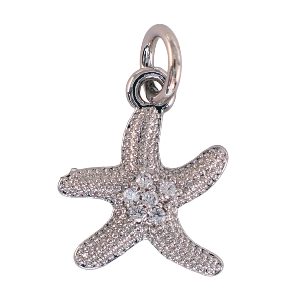 Mini silver starfish