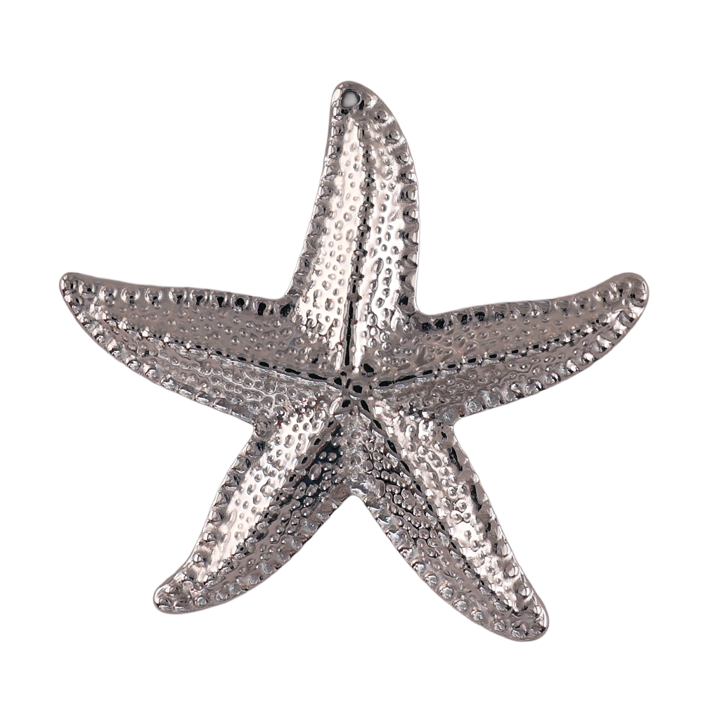 Big silver starfish