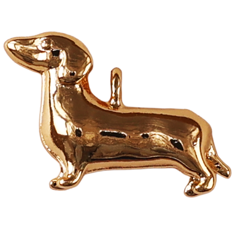 Sausage dog